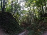 Zajęcia terenowe z geografii w I LO